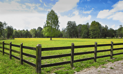 Wooden fence surrounds a field