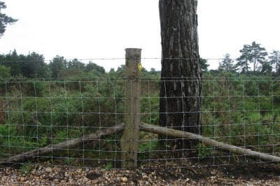 Wire fencing with a wooden frame